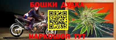 ПСИЛОЦИБИНОВЫЕ ГРИБЫ Ставрополь
